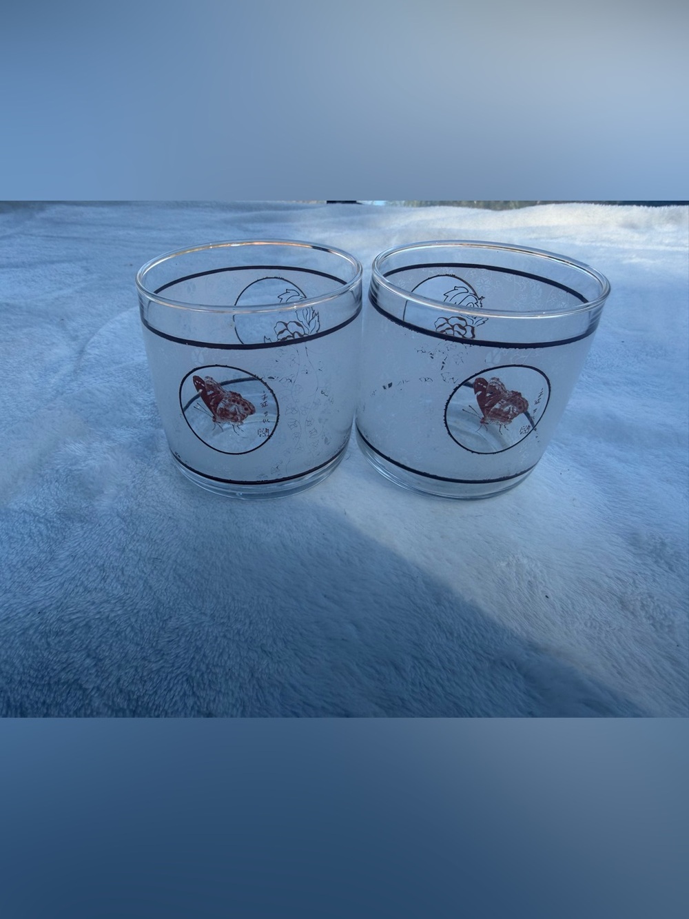 Vintage Anchor Hocking Butterfly Rose Tumbler Glasses Set of 2 1980s